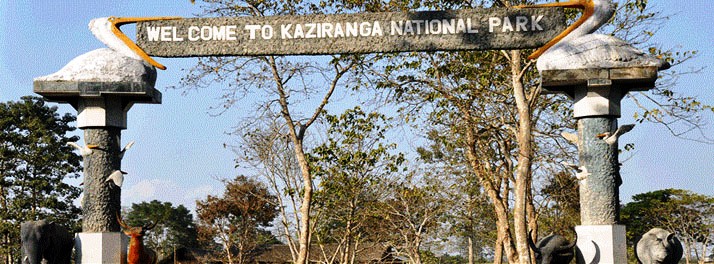 746/IORA-The Retreat - Kaziranga National Park 12.jpg